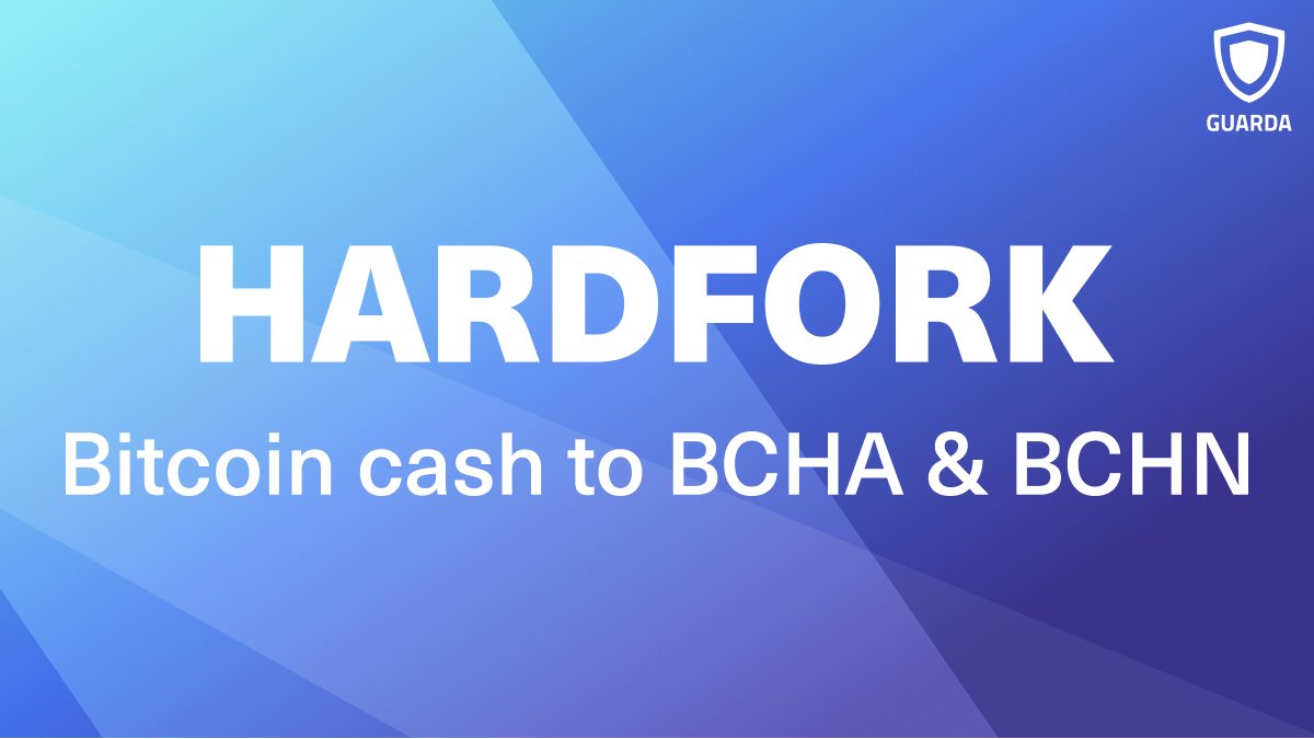 BCHN против BCHA 