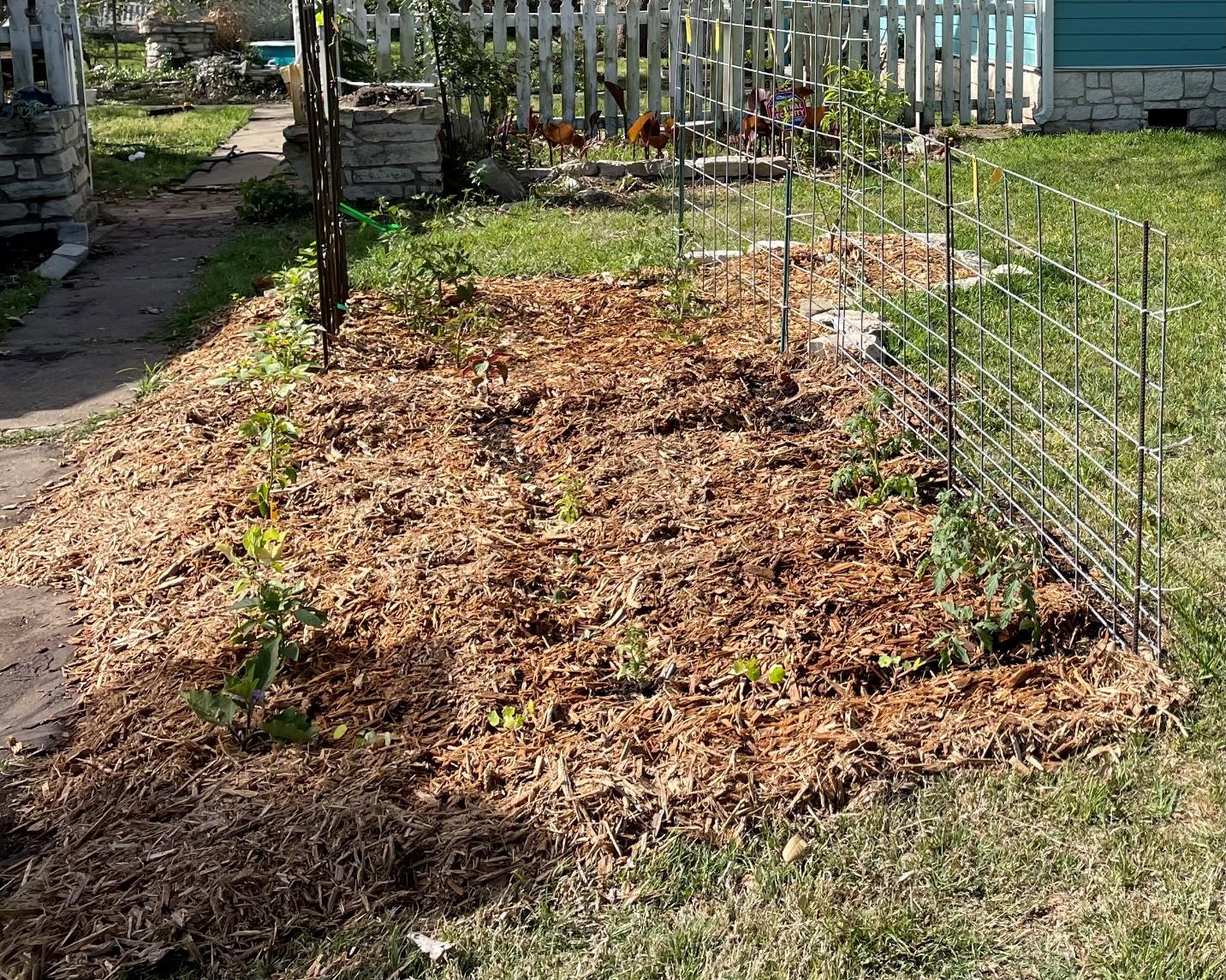 Mulch helps keep water in the ground and prevents evaporation into the air.