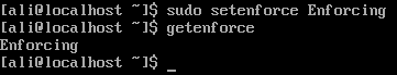 SELinux genenforce command