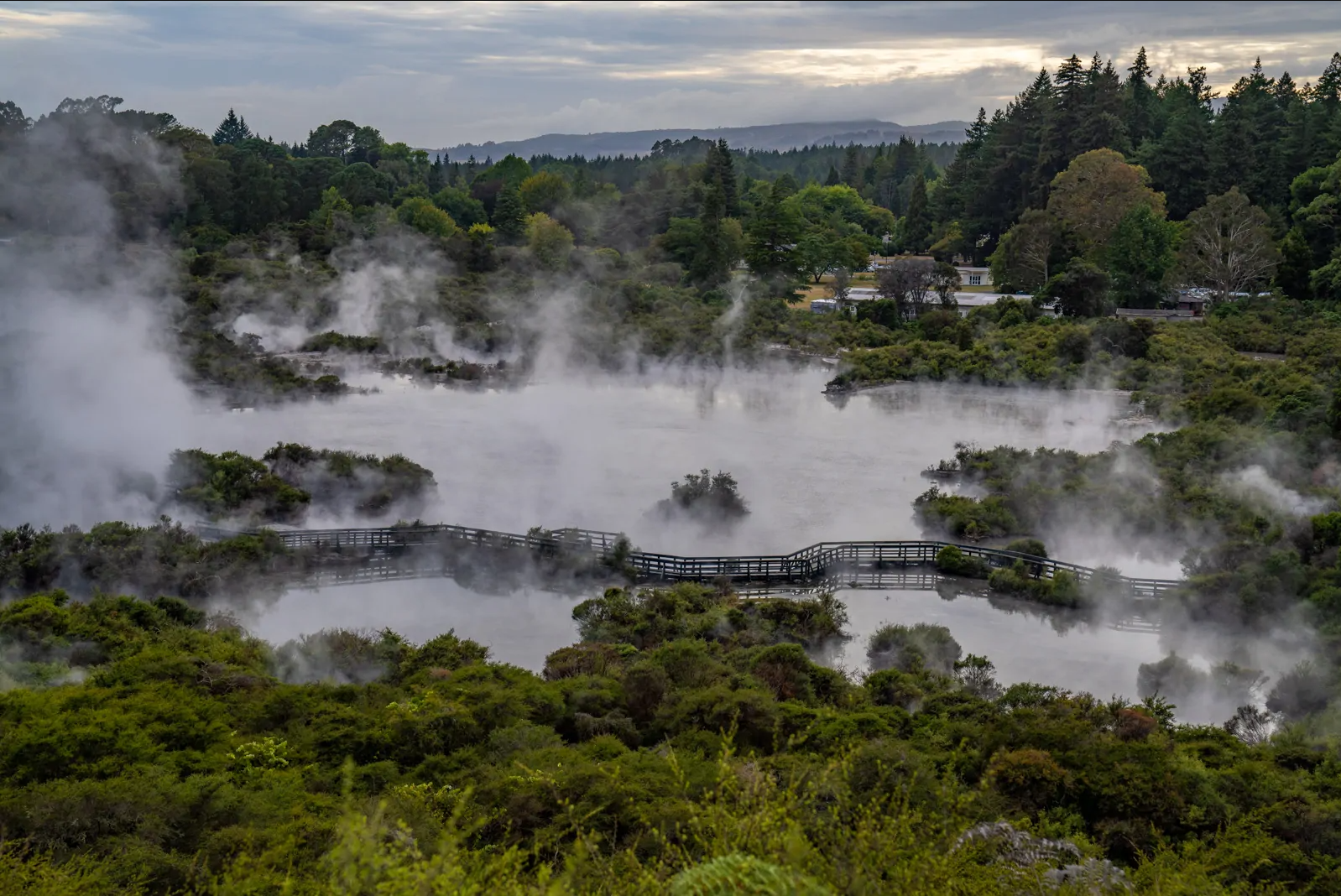 Steaming thermal hot pools at Whakarewarewa Rotorua