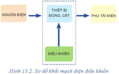 A diagram of a cat</p>
<p>Description automatically generated