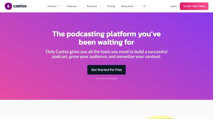 15 Best Podcast Hosting Platforms 52