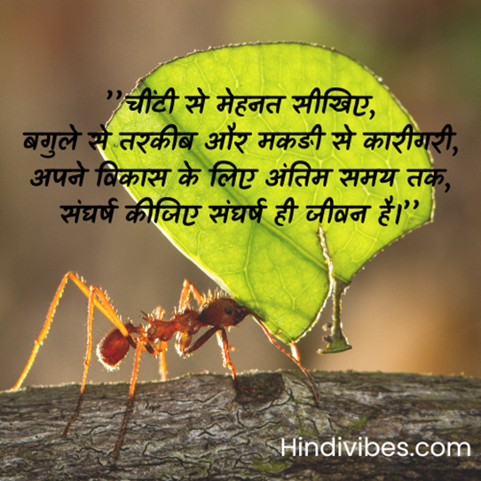 Hindi Suvichar inspirational - “चींटी से मेहनत सीखिए, बगुले से तरकीब और मकङी से कारीगरी, अपने विकास के लिए अंतिम समय तक, संघर्ष कीजिए संघर्ष ही जीवन है।”