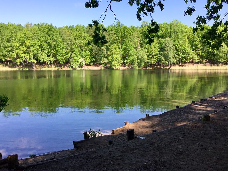 Krumme Lake