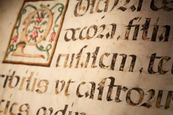 Parchment with some blackletter Latin writings