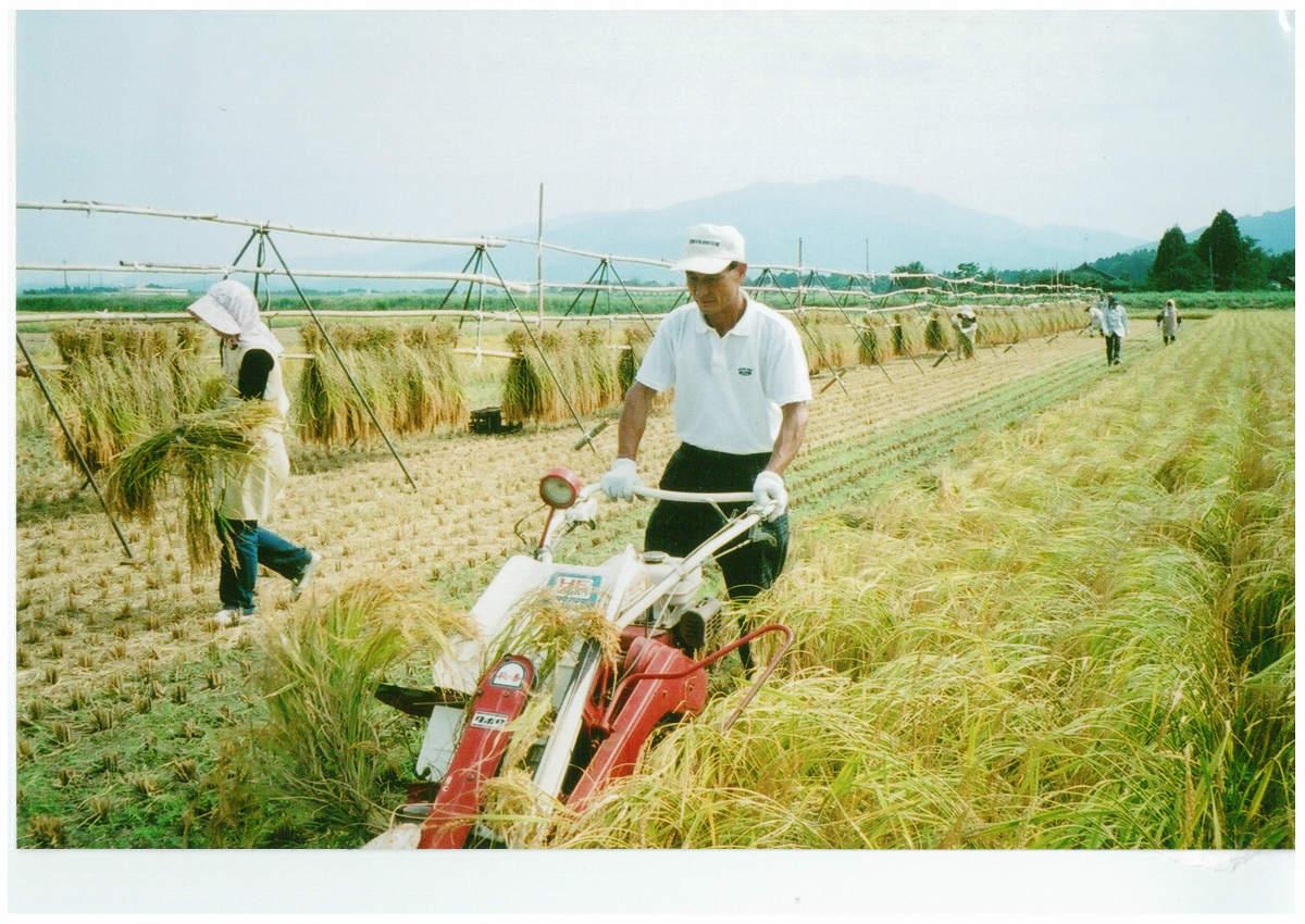 Kondo Sake Brewery makes the most of nature's bounty and is particular about water and rice. Genuine sake brewing with friends.