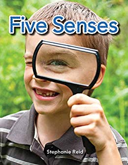 Five Senses