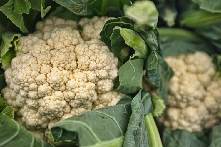 Cauliflower is great for pickling