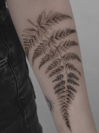 Fern Leaf Tattoo