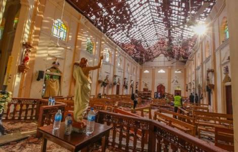 Pope News Catholic Bishops Conference Of India