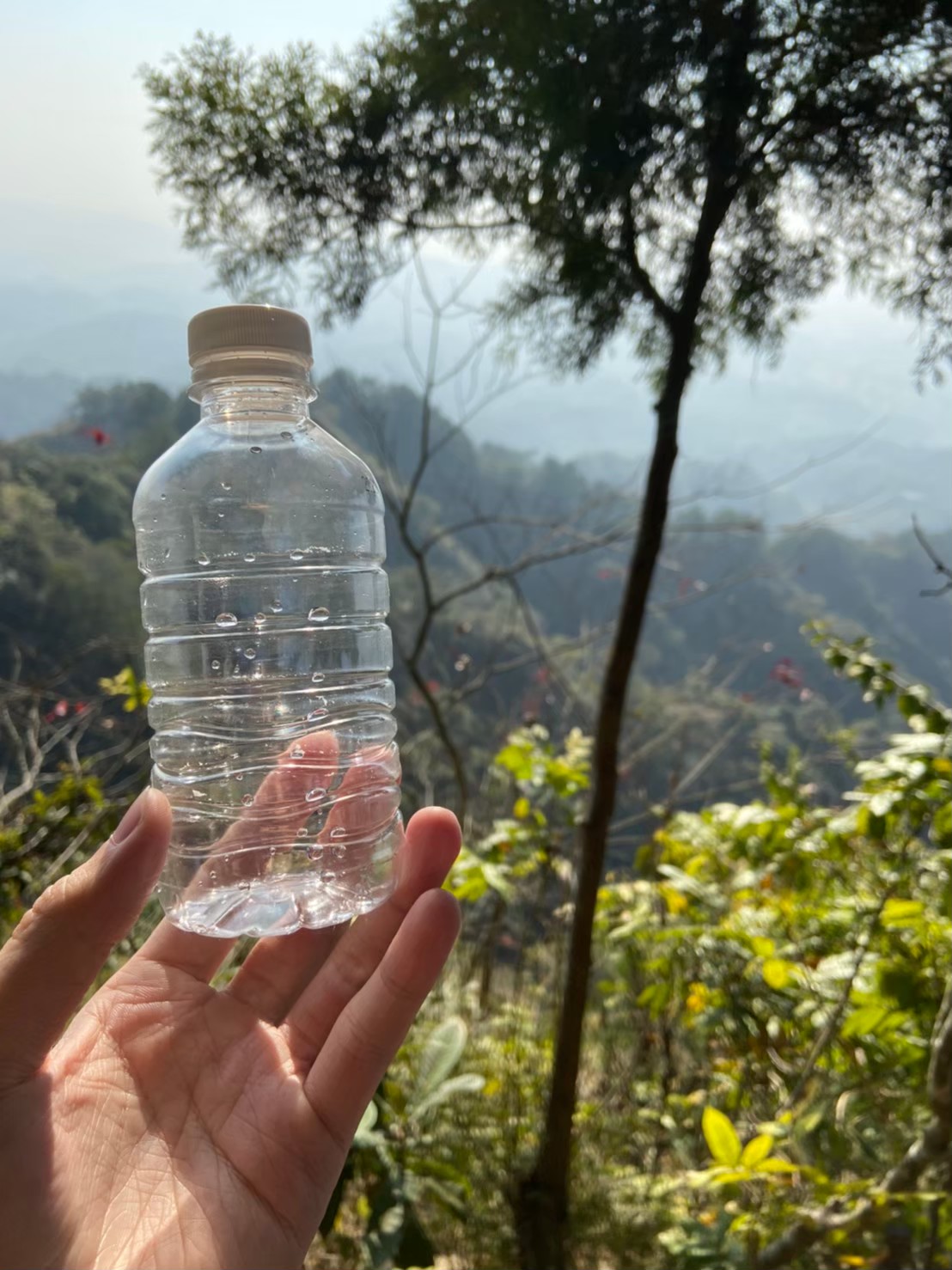 寶特瓶裝著大坑步道純淨的空氣