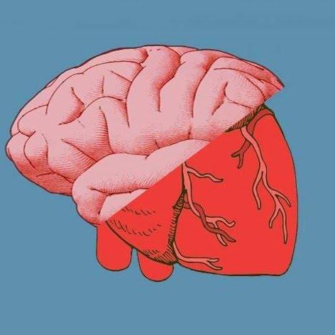 สุขภาพหัวใจทำนายความแก่ของสมอง?4