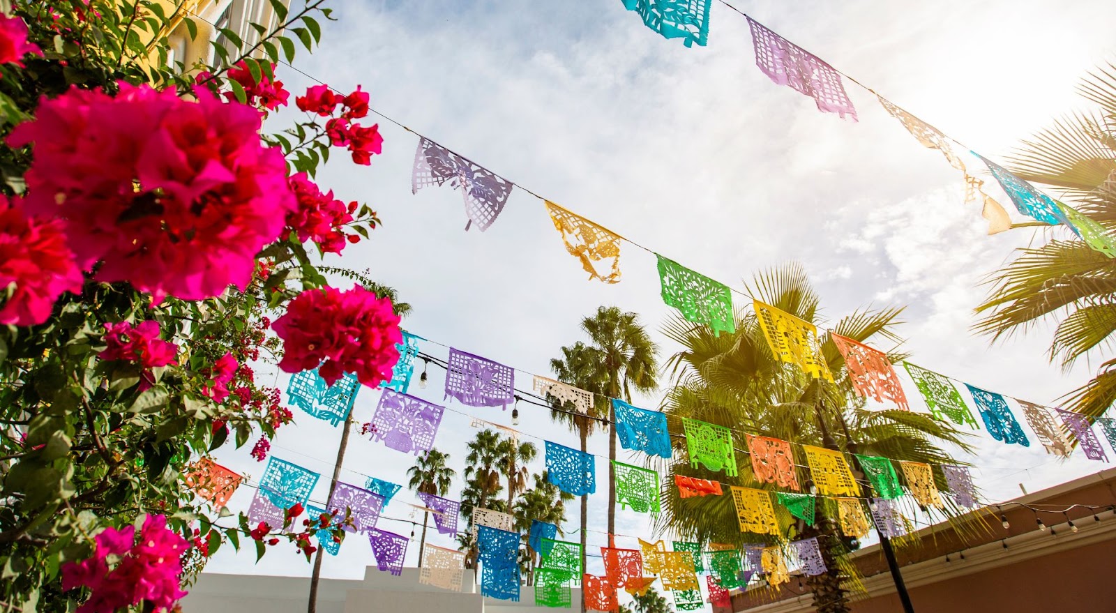 Colorful street in San Jose Del Cabo