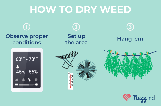 Why You Should Hang Dry And How To Do It Properly