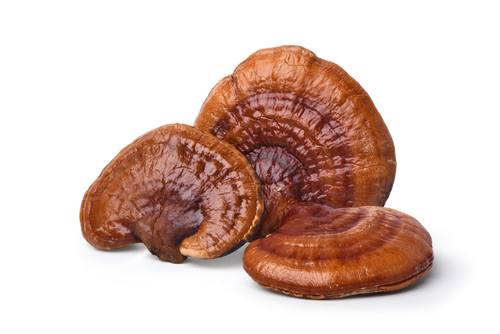 Reishi (Ganoderma Lucidum) is a type of fungus that grows on deciduous trees. Functional Mushrooms and Adaptogens