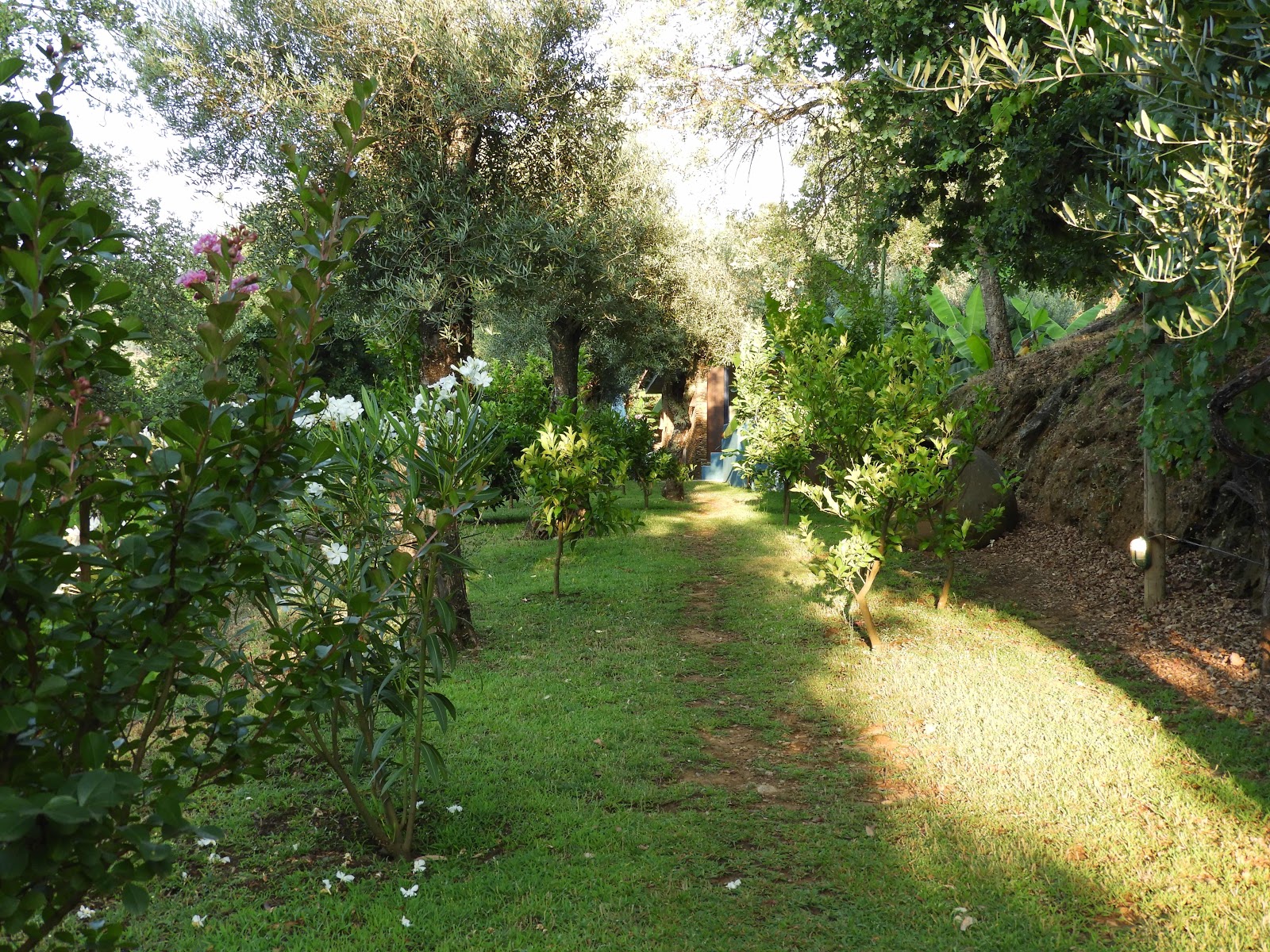 Casa da Oliveira, Quinta dos Moinhos, Trás-os-Montes