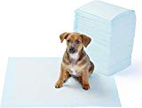 Training pads will tidy any accidents your dog may have during the flight.