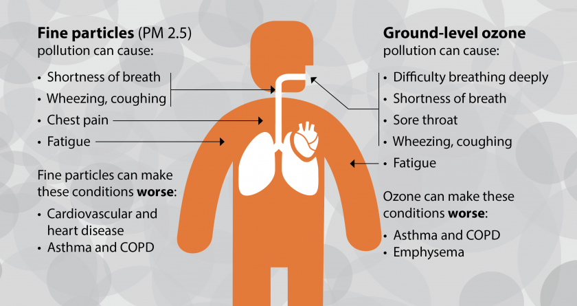 Image result for pollution effects