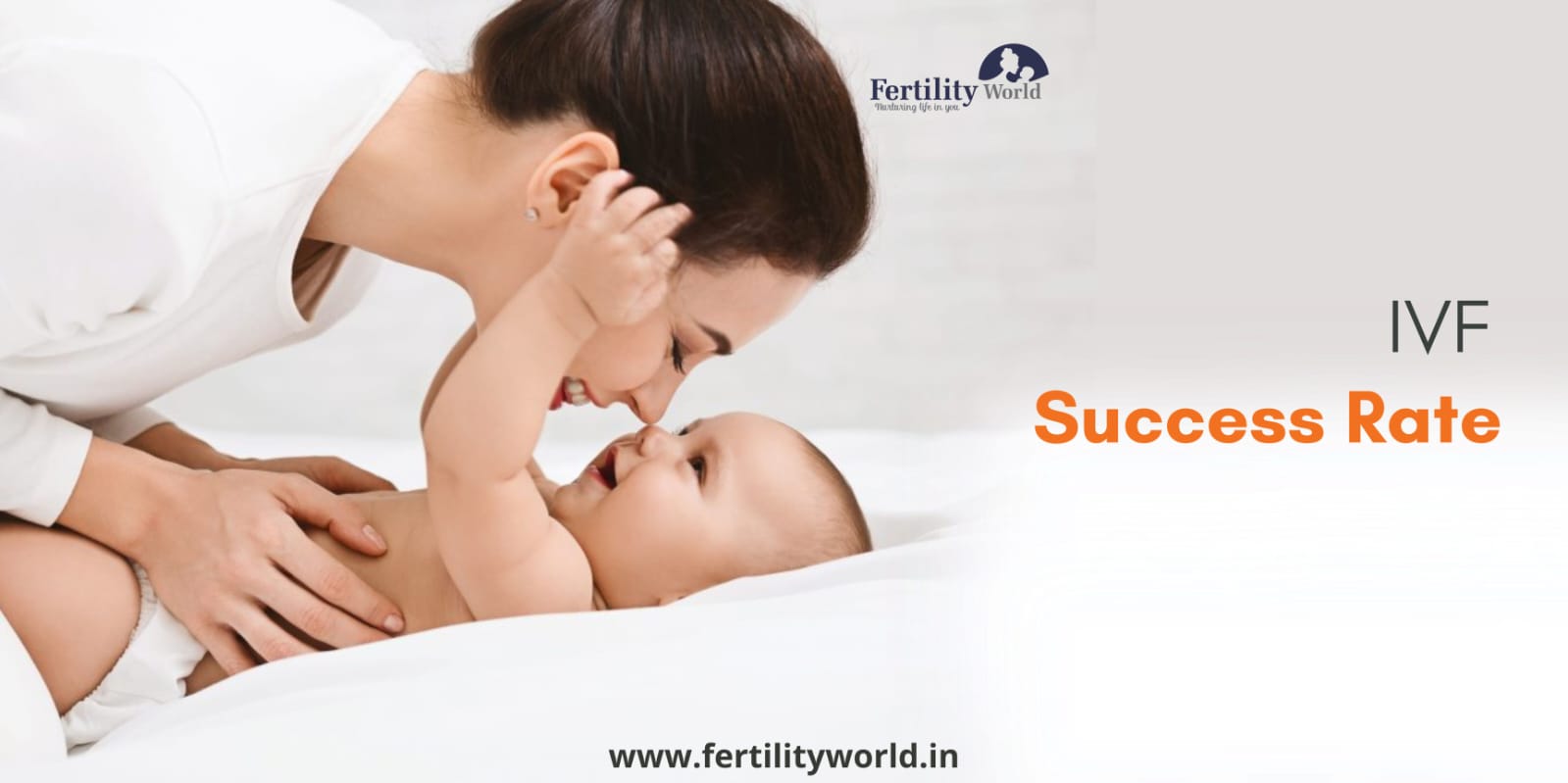 What is the IVF success rate in Jodhpur?