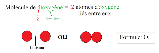 il y a 2 atomes "oxygène" lié entre eux. On peut le représenté en faisant apparaitre la liaison ou juste en "collant" les 2 atomes d'oxygène.