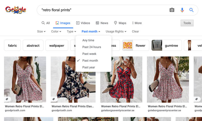 timelines filter on Google advanced image search