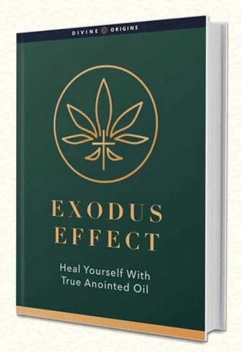 The Exodus Effect 