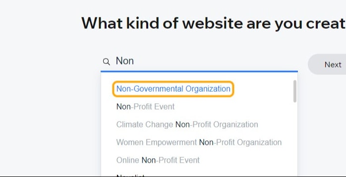 Click on Non-Governmental Organization