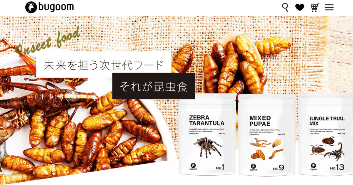 日本の昆虫食 企業 Bugoom画像