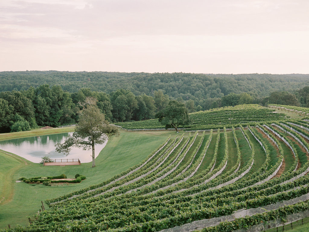 Montaluce Winery & Restaurant