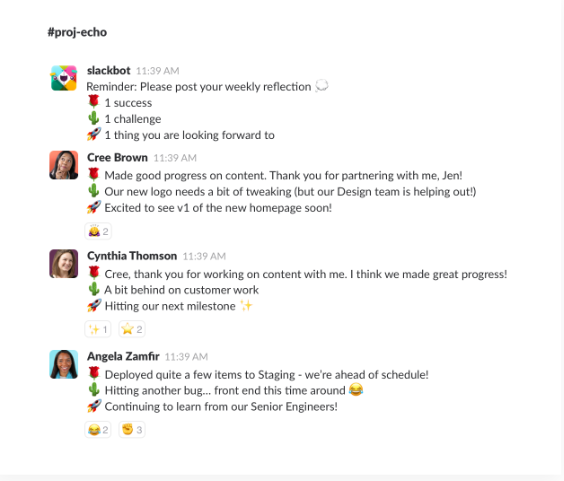 Geekbot - slack integration