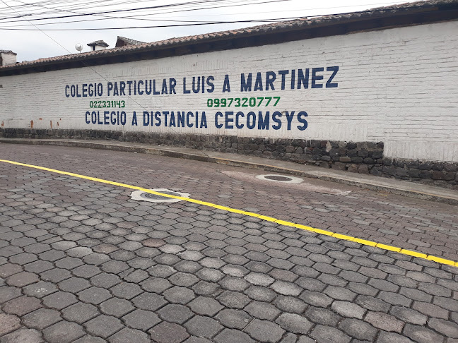 Colegio Particular Luis A Martinez