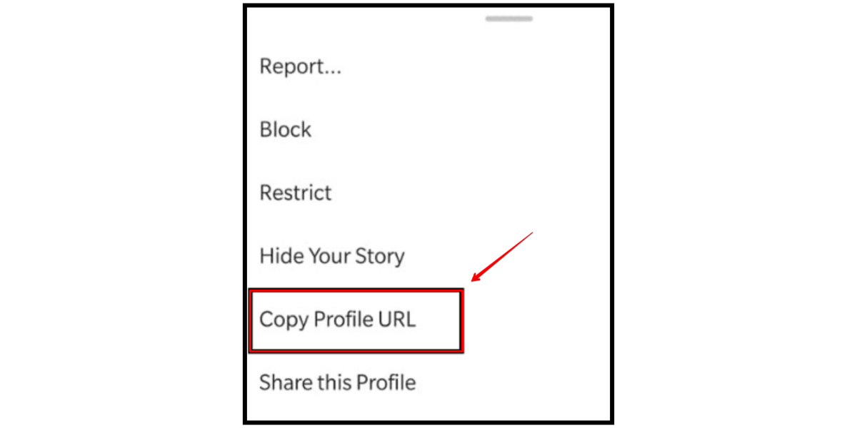 Share profile on WhatsApp: Copy profile URL