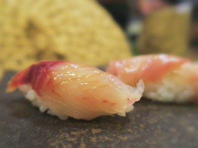 連子鯛 鯛 種類 252005