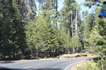Мексика. И станут направления дорогами.