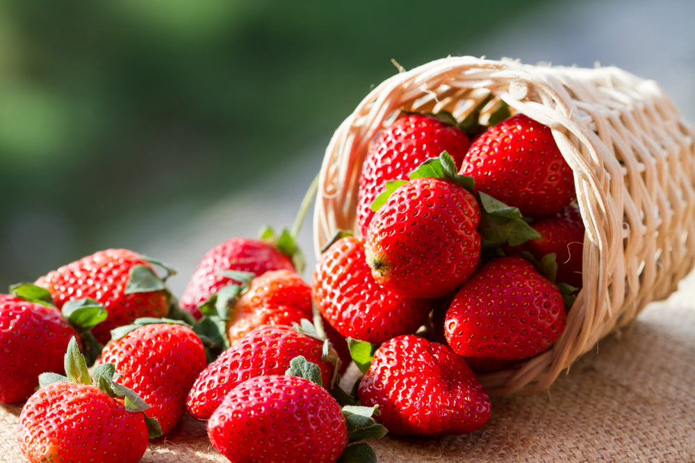 Nutritional Power For Wellness