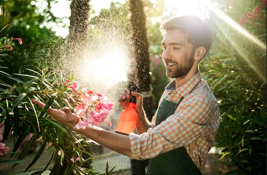 Best Time to Water a Garden