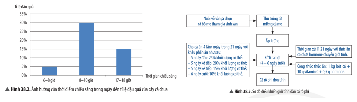 Câu hỏi trang 175 SGK TN&XH 7 CTST tập 1