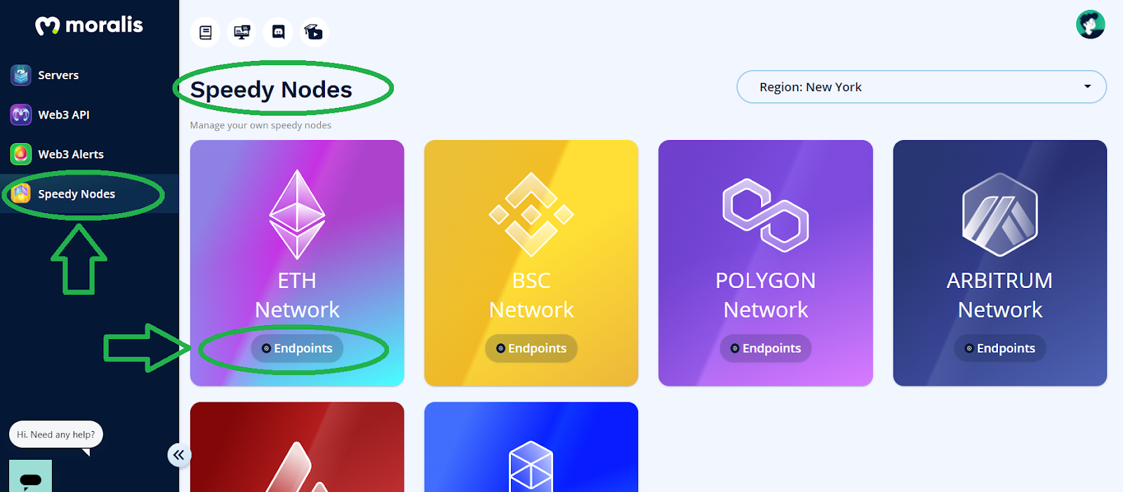 Moralis Speedy Nodes admin panel showing network options to choose from when creating a cryptocurrency.
