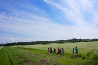 北北竜町のそば畑のひとつ　