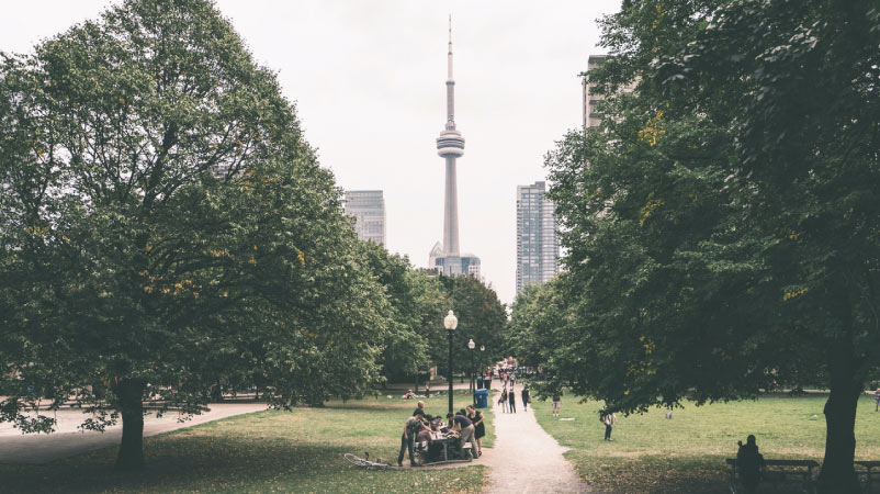 Trinity Bellwoods Park in Toronto