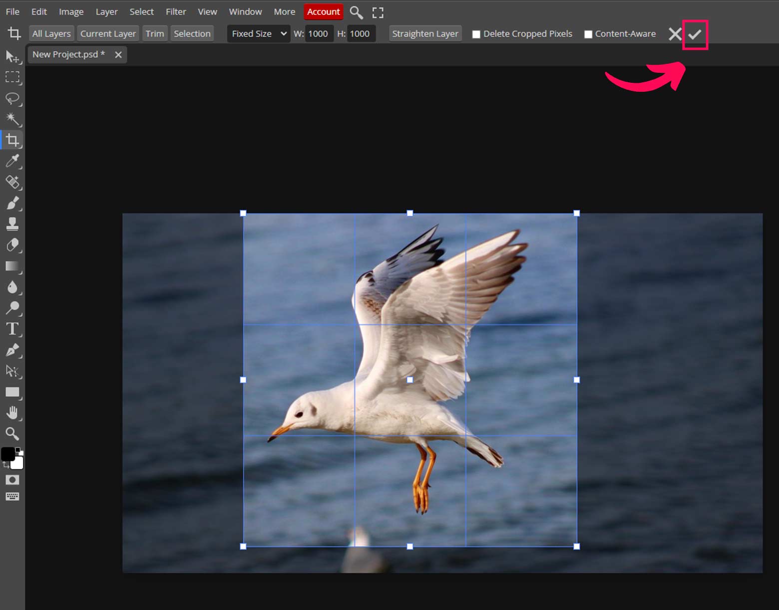 How To Crop An Image In Photopea Detailed Guide Edits 101