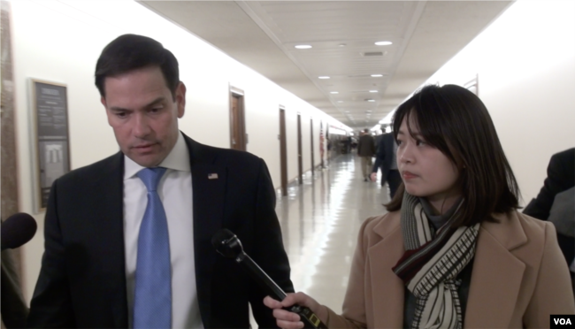 罗里达州共和党籍联邦参议员鲁比奥(Sen. Marco Rubio, R-FL)接受美国之音采访。（2019年3月6日）
