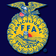 Image result for ffa emblem