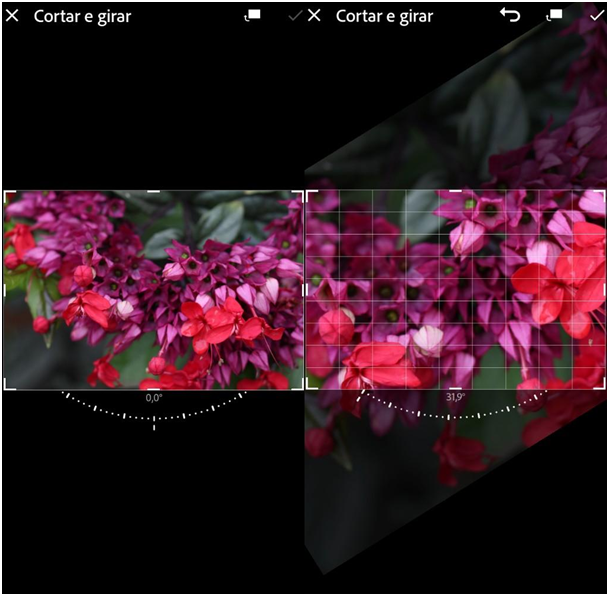A esquerda uma fotografia de uma flor com tons de rosa na ferramenta de cortar e girar. A direita uma fotografia de uma flor com tons de rosa modificada na ferramenta de cortar e girar.
