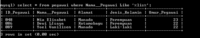 C:\Users\Aras\Documents\Tugas semester 1\Basis data\Tugas besar\7 Like, Order by, Grup By, Asc, Des\Like\Pegawai\15.PNG