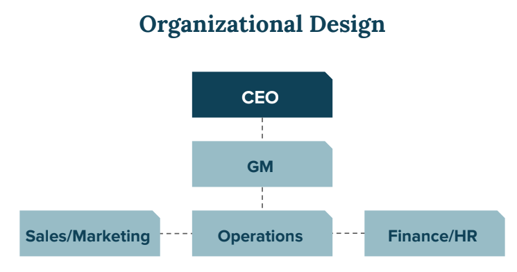 Organisation structure 