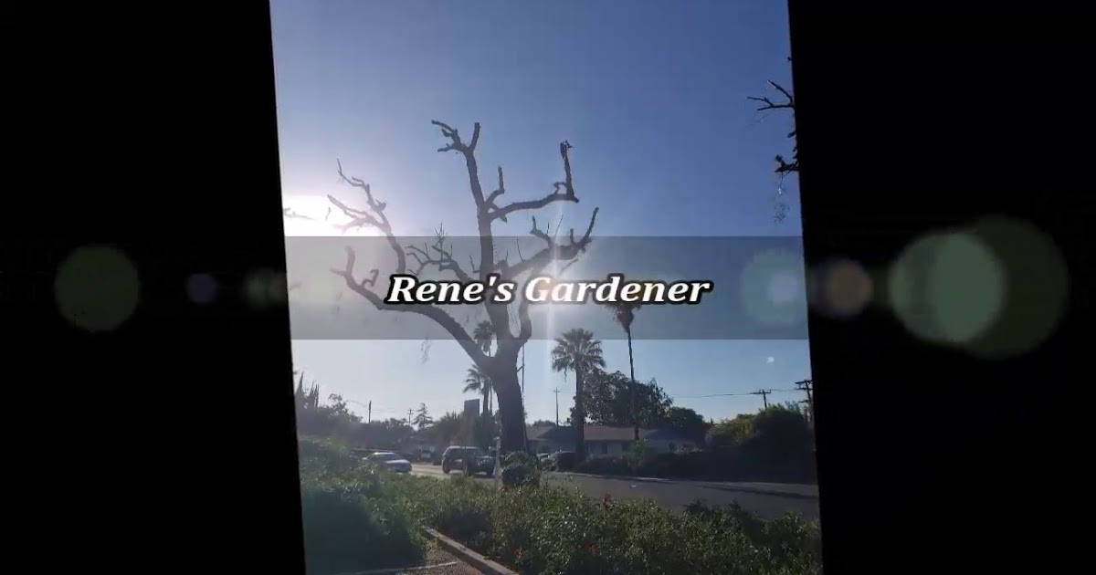 Rene's Gardener.mp4