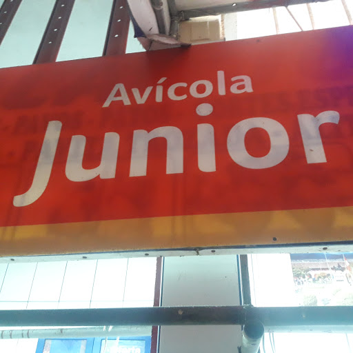 Junior