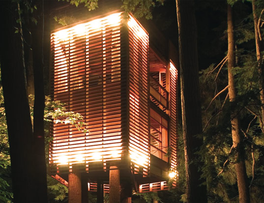 The 4TreeHouse: 