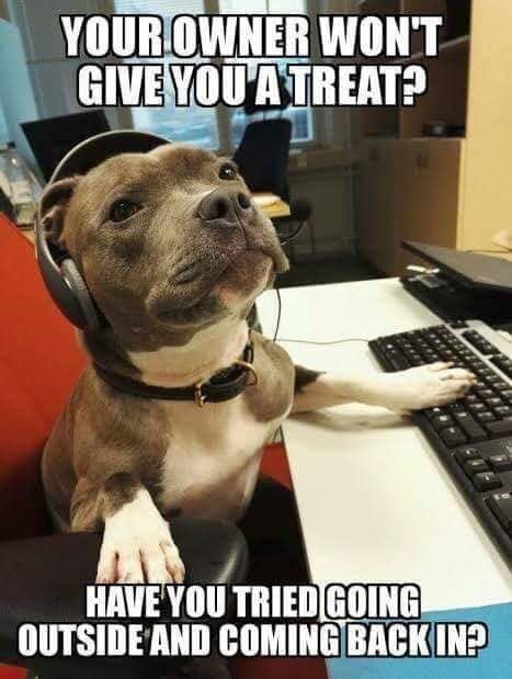 funny-dog-call-center-meme